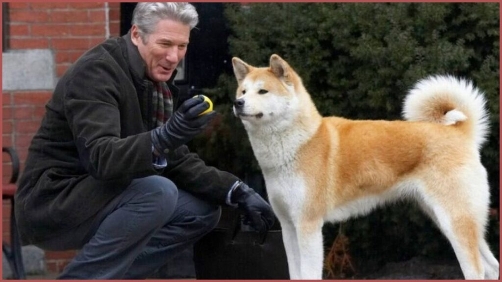 A história real de Hachiko, que inspirou “Sempre ao Seu Lado”